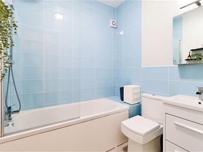 Picture 7